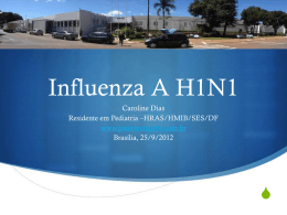 Influenza H1N1 - Paulo Roberto Margotto