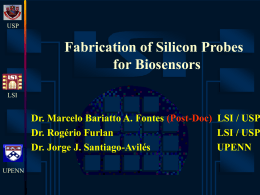 Fabrication of Silicon Probes for Biosensors