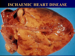 Doença Cardíaca Isquêmica