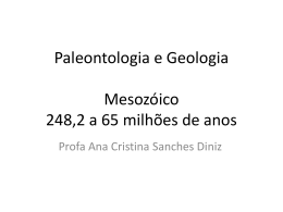 Mesozóico – Era dos Répteis 248,2 a 65 milhões de anos