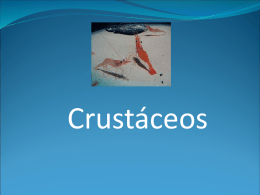 Crustáceos - WordPress.com