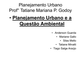 Planejamento Urbano Prof° Tatiane Mariana P. Godoy