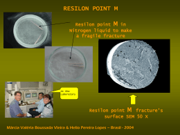 RESILON POINT M Resilon point M in Nitrogen liquid to make a