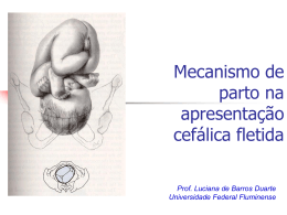Mecanismo de parto na apresentação cefálica fletida