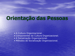 Aula 10 - Cultura Organizacional e Socialização - Vídeo