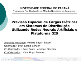 HelenaBatori2008 - Universidade Federal do Paraná