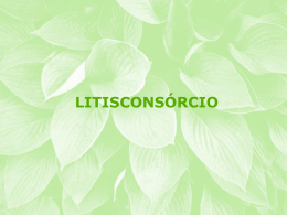 06 - LITISCONSORCIO