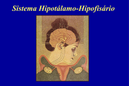 Sist-Hipotalamo-Hipodisário-K14