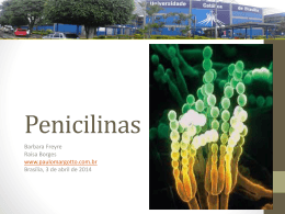 Penicilinas - Paulo Roberto Margotto