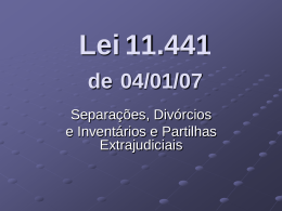 Apresentação sobre a Lei 11.441.