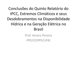 Amaro Pereira