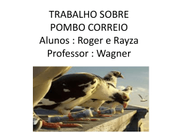 Pombo Correio - eecb