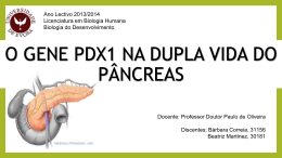 O GENE PDX1 NA DUPLA VIDA DO PÂNCREAS