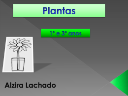 De que precisam as plantas?