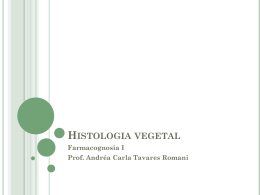 Histologia vegetal