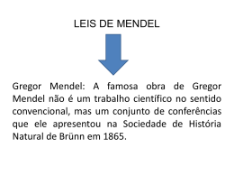 Mendel - Universidade Castelo Branco