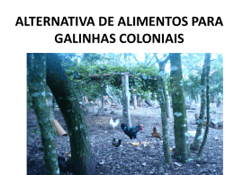 ALTERNATIVA DE ALIMENTOS PARA GALINHAS COLONIAIS