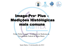 Image-Pro Plus * Medições Histólógicas mais comuns
