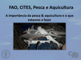 FAO, CITES, Pesca e Aquicultura