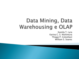 Data Mining, Data Warehousing e OLAP