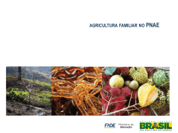 12 - Agricultura Familiar no PNAE_12_2_14