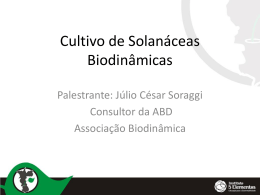 Cultivo de Solanáceas – Julio Soraggi