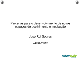 José Rui Soares, Whatever