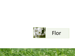 A Flor