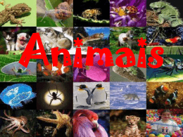 animaisvertebradoseinvertebrados-130327200420 - e