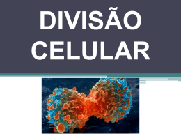 divisão celular