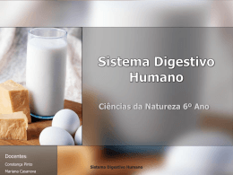 O Sistema Digestivo no Homem (atualizado)