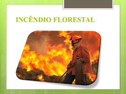 Incêndio Florestal 1 - master cursos e brigadas