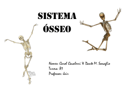 Sistema Ósseo
