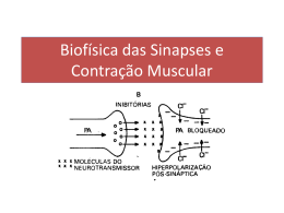 pat Biofísica das Sinapses e Contração Muscular