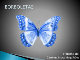 Carolina_BORBOLETAS