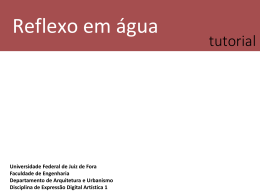 06 | Extra05-Reflexo - Universidade Federal de Juiz de Fora