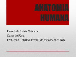 ANATOMIA HUMANA - jvasconcellos.com.br