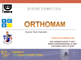 Base de Dados OrthoMan