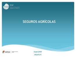 Seguros Agrícolas – IFAP, Joaquim Sampaio