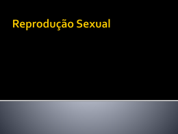 Reprodução Sexual - clubedeciencia6cv