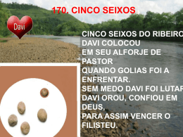 CINCO_SEIXOS