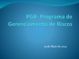 PGR- Programa de Gerenciamento de Riscos
