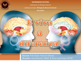 Cérebro - Biologia do Desenvolvimento 2014