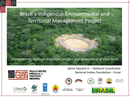 Brazil`s Indigenous Environmental and Territorial Management Project