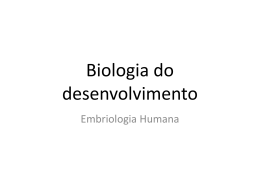 Embriologia Humana P..
