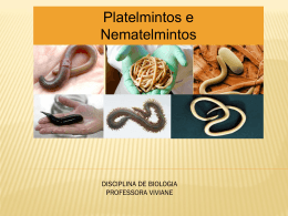 Invertebrados platelmintos e nematelmintos 06_05