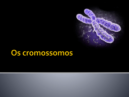 Os cromossomos