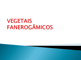 VEGETAIS FANEROGÂMICOS (582042)