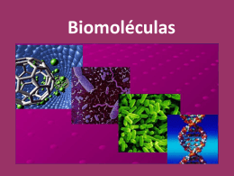 Biomoléculas - WordPress.com