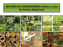 RECURSO DA COMUNIDADEO Cultivo e o uso de Plantas Medicinais